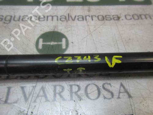 Tailgate lift support CITROËN C-ZERO  | BP14281231C138 