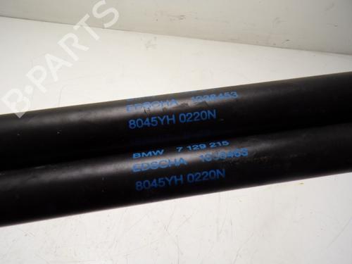 Tailgate lift support BMW 3 Convertible (E93) 320 i | BP14288057C138 