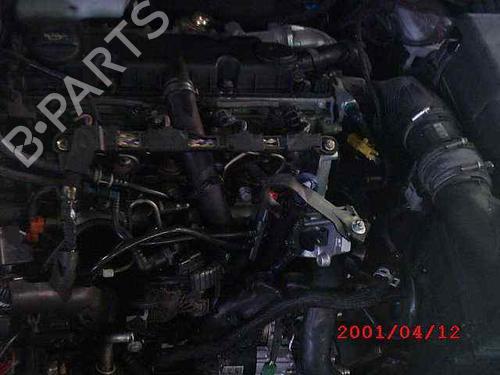  - Image 7