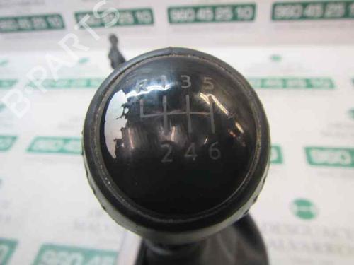 Gear lever NISSAN QASHQAI / QASHQAI +2 I (J10, NJ10, JJ10E)  | BP7411813M90 