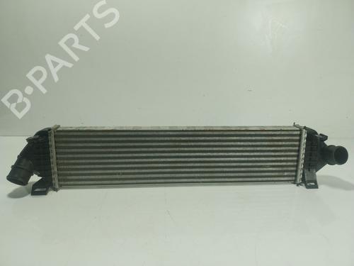 Used Intercooler Intercooler FORD KUGA II (DM2) [2012-2026] 24216243 24216243
