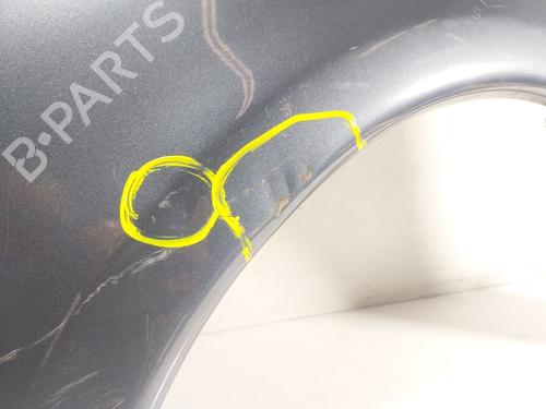 Left front fenders CITROËN XSARA PICASSO (N68) 1.6 HDi | BP19416164C41 