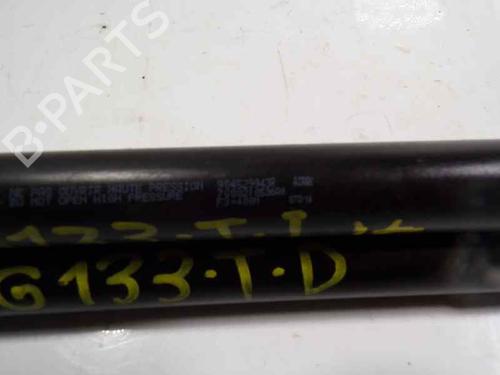 Tailgate lift support DACIA SANDERO II 1.5 dCi 75 / Blue dCi 75 (B8JW, B8M4, B8AH, B8M7, B8M6) | BP14285087C138 