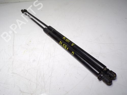Tailgate lift support CITROËN C4 Picasso II  | BP14289285C138 