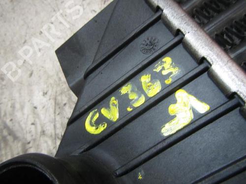 Intercooler MERCEDES-BENZ M-CLASS (W163)  | BP3836933M30 