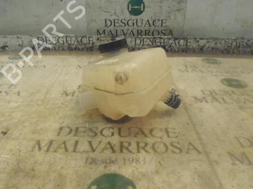 Expansion tank FORD FIESTA VI (CB1, CCN)  | BP3805313C120