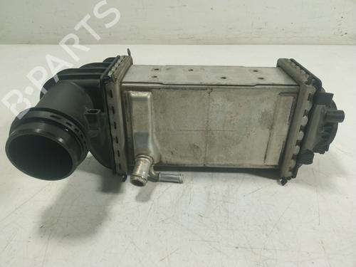 Used Intercooler VW GOLF VIII (CD1, DA1) [2019-2025]  20146931