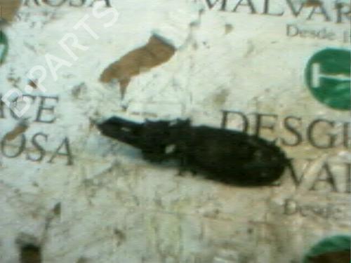 Used Electronic module Electronic module CITROËN XSARA (N1) 1.9 D (68 hp) 3771557 3771557