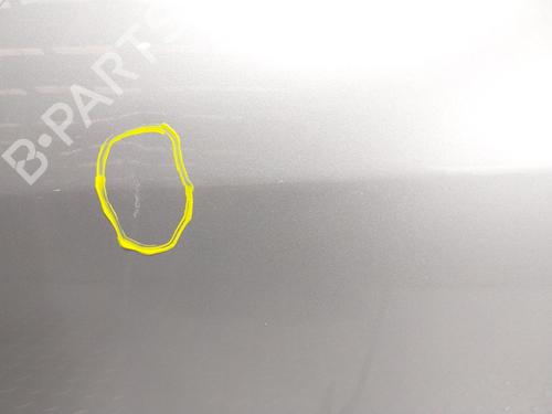 Left front door MERCEDES-BENZ SLK (R171) 200 Kompressor (171.445) | BP29113654C2 