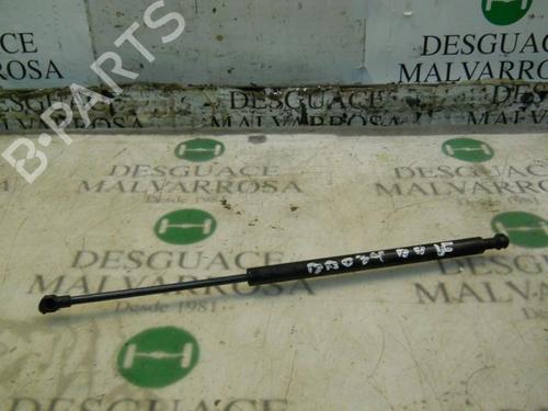 Used Hood lift support CITROËN XSARA (N1) 2.0 HDi 90 (90 hp) 14265558