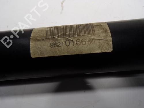 Right rear shock absorber CITROËN C3 AIRCROSS II (2R_, 2C_)  | BP11413453M19 
