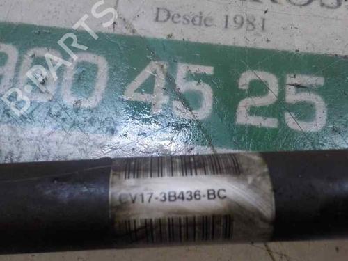 Right front driveshaft FORD B-MAX (JK)  | BP5088819M39
