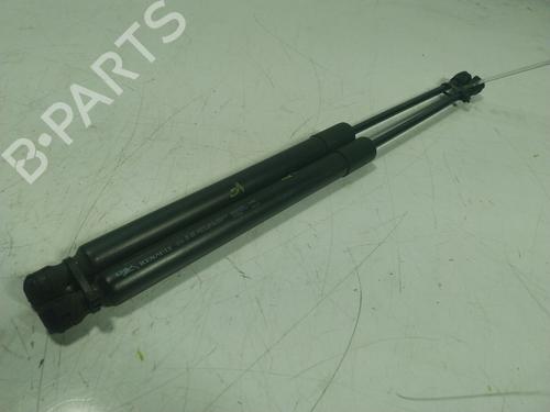 Tailgate lift support RENAULT ZOE (BFM_)  | BP17992769C138