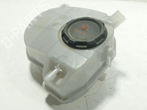 Ekpansionstank CUPRA FORMENTOR (KM7, KMP) [2020-2026]  31326902