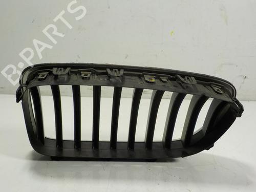 Grille BMW 5 Touring (F11) 520 d xDrive | BP15096822C40 