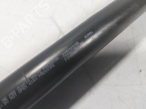 Tailgate lift support RENAULT ZOE (BFM_)  | BP17992766C138