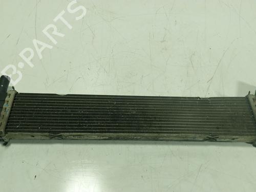 Water radiator DACIA LODGY (JS_) 1.5 Blue dCi 115 (JSJT) | BP30883296M31