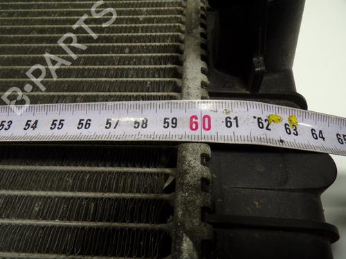 Water radiator BMW 1 (F20)  | BP15225935M31