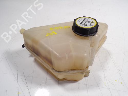 Used Expansion tank FORD FIESTA VI (CB1, CCN) 1.25 (82 hp) 8913027