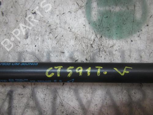 Tailgate lift support LANCIA YPSILON (843_) 1.3 D Multijet (843.AXE11, 843.AXE1A) | BP14275793C138 