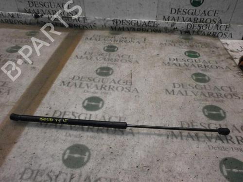 Used Tailgate lift support OPEL CORSA D (S07) 1.3 CDTI (L08, L68) (75 hp) 14266740