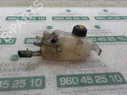 Expansion tank RENAULT MEGANE III Hatchback (BZ0/1_, B3_) 1.5 dCi (BZ0C) | BP4595984C120 