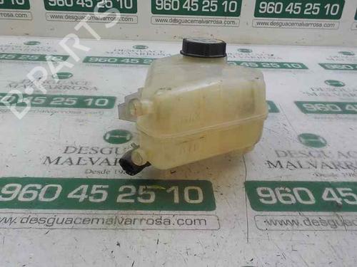 Expansion tank FORD FIESTA VI (CB1, CCN)  | BP5030991C120 
