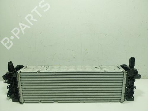 Intercooler BMW X6 (G06, F96) xDrive 30 d Mild-Hybrid | BP29377567M30 
