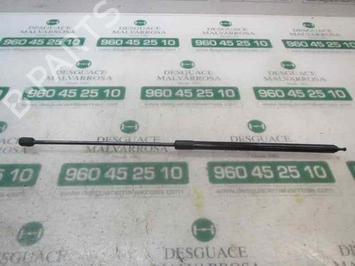 Pansergassdemper Pansergassdemper RENAULT MEGANE III Hatchback (BZ0/1_, B3_) 1.5 dCi (BZ0C) (90 hp) 14282738 14282738