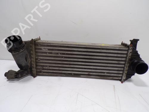 Intercooler MERCEDES-BENZ CITAN Box Body/MPV (W415) [2012-2021]  10955997