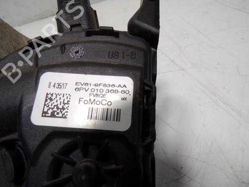 Pedal FORD FOCUS III  | BP10082774I4 