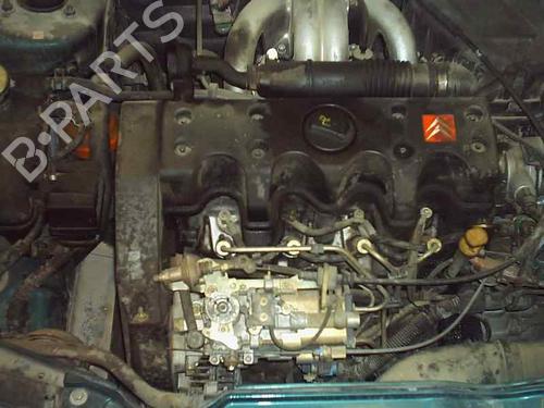 Tailgate lift support CITROËN SAXO (S0, S1)  | BP14289855C138 