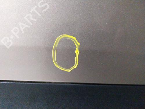 Right front door RENAULT KADJAR (HA_, HL_) 1.2 TCe 130 (HLMR) | BP29490454C3 
