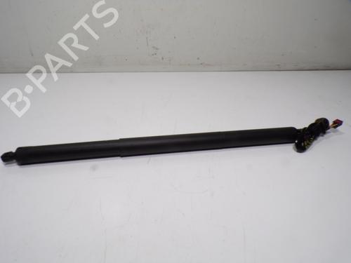 Tailgate lift support CUPRA LEON Sportstourer (KL8, KU8, KUD)  | BP14289450C138 