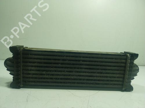 Intercooler FORD TRANSIT V363 Van (FCD, FDD)  | BP17873382M30