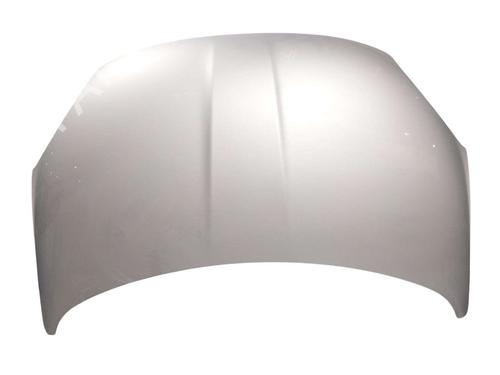hood-fiat-500x-334_-2014-38761214 main image