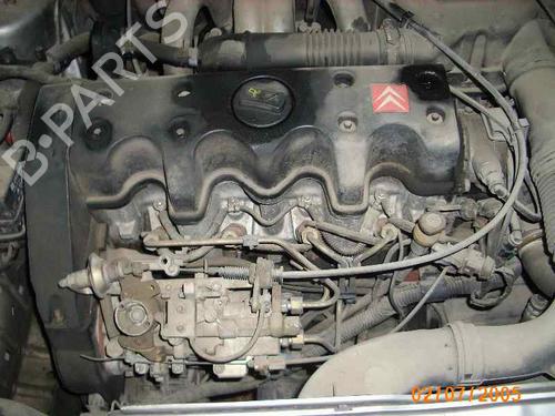 Tailgate lift support CITROËN SAXO (S0, S1) 1.5 D | BP14296253C138 