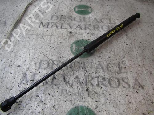 Used Tailgate lift support Tailgate lift support DACIA SANDERO II 1.5 dCi 75 / Blue dCi 75 (B8JW, B8M4, B8AH, B8M7, B8M6) (75 hp) 14274350 14274350