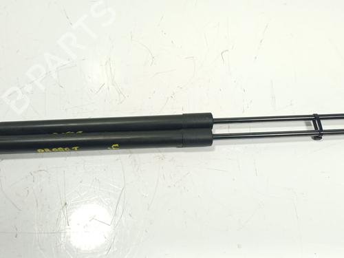 tailgate-lift-support-citroen-c4-iii-ba_-bb_-bc_-2020-33980804 main image