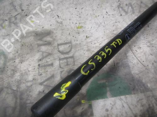 Tailgate lift support MERCEDES-BENZ A-CLASS (W169) A 180 CDI (169.007, 169.307) | BP14274952C138 