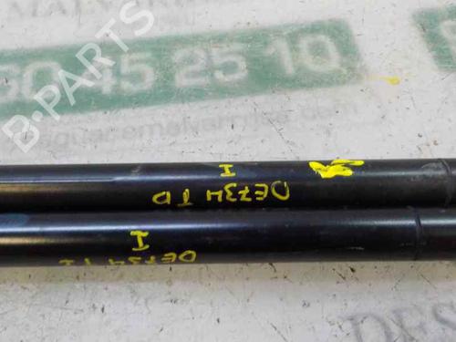 Tailgate lift support LAND ROVER RANGE ROVER SPORT I (L320) 2.7 D 4x4 | BP14284334C138 