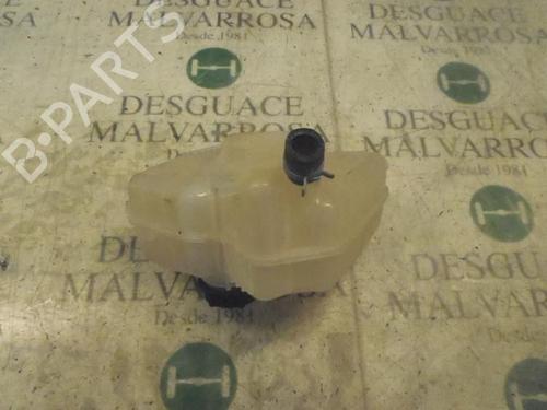 Expansion tank FORD FIESTA VI (CB1, CCN)  | BP3805313C120