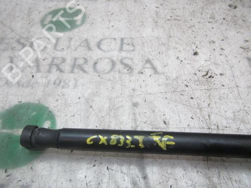 Tailgate lift support FORD FOCUS II Turnier (DA_, FFS, DS) 2.0 TDCi | BP14277924C138 