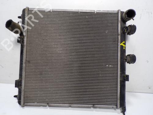 Used Water radiator Water radiator CITROËN C3 II (SC_) [2009-2026] 11193467 11193467
