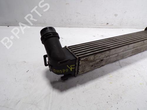 Intercooler RENAULT SCÉNIC III (JZ0/1_) | BP9221821M30
