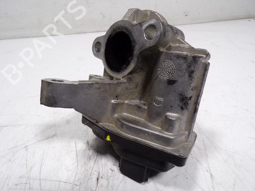 Egr RENAULT TALISMAN Grandtour (KP_)  | BP11193862M69 