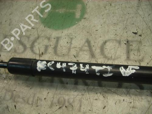 Tailgate lift support AUDI A3 (8P1) 2.0 TDI 16V | BP14266097C138 