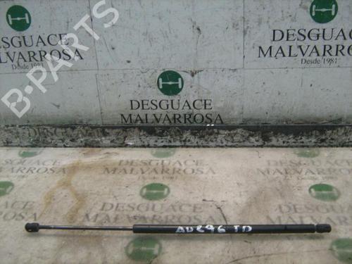 Used Tailgate lift support FORD FIESTA V (JH_, JD_) 1.4 TDCi (68 hp) 14297921