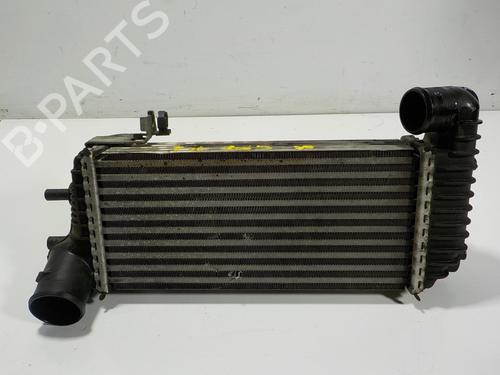 Intercooler FORD TOURNEO CONNECT / GRAND TOURNEO CONNECT V408 MPV 1.6 TDCi (115 hp) 13684844