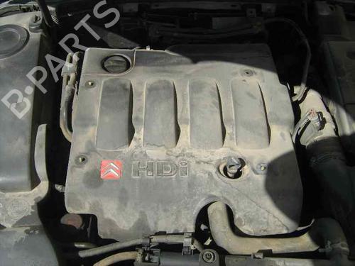 Support CITROËN XSARA Coupe (N0)  | BP14298891C155 